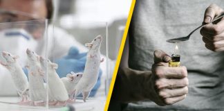 Какво общо има между наркотици и "Войната във Виетнам"