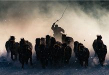 Победителят на Голямата награда: "Зимен конник," Вътрешна Монголия